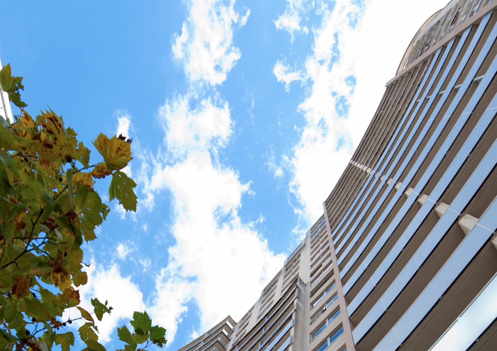 Mantra Chatswood Sydney Kültér fotó
